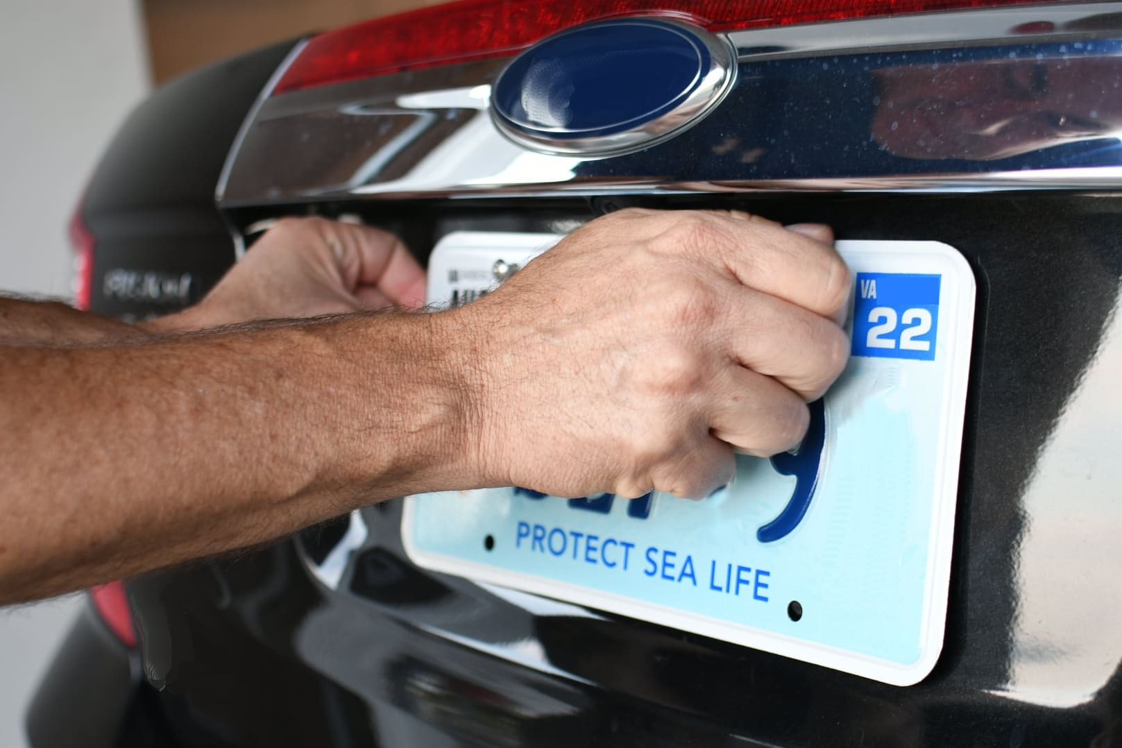 Cómo renovar la placa vehicular en Panamá en 2025